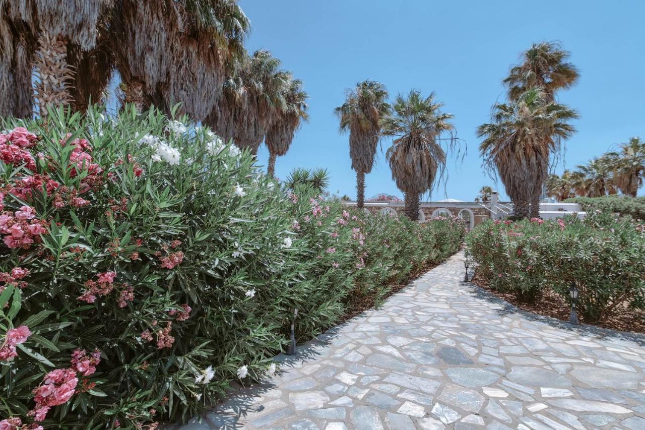 Palm Heaven Boutique Apartments Antiparos Town Dış mekan fotoğraf